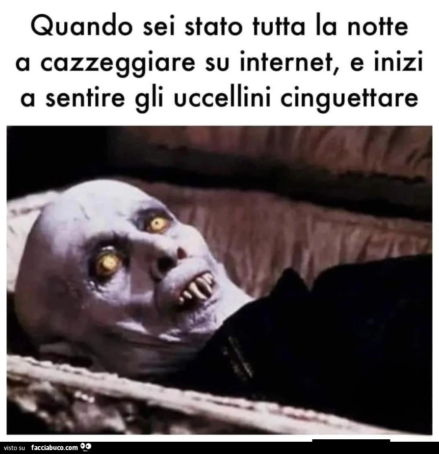 Vaccata