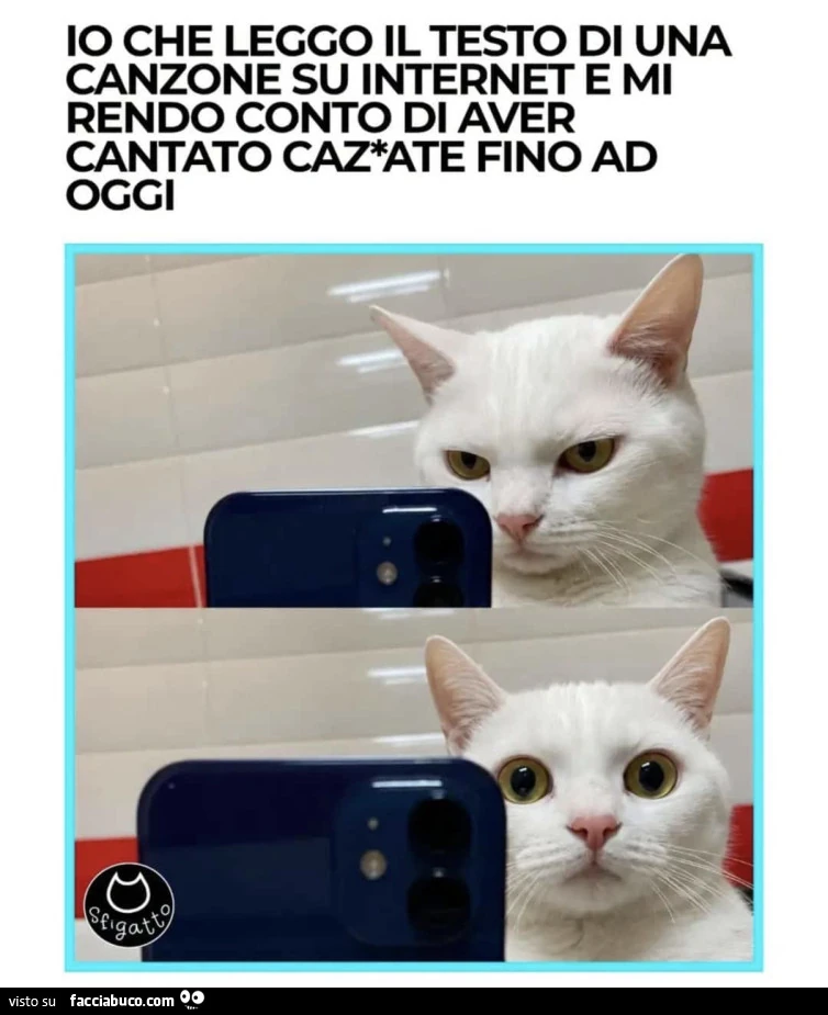 Vaccata