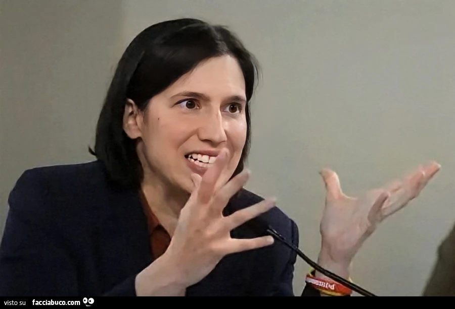 Schlein
