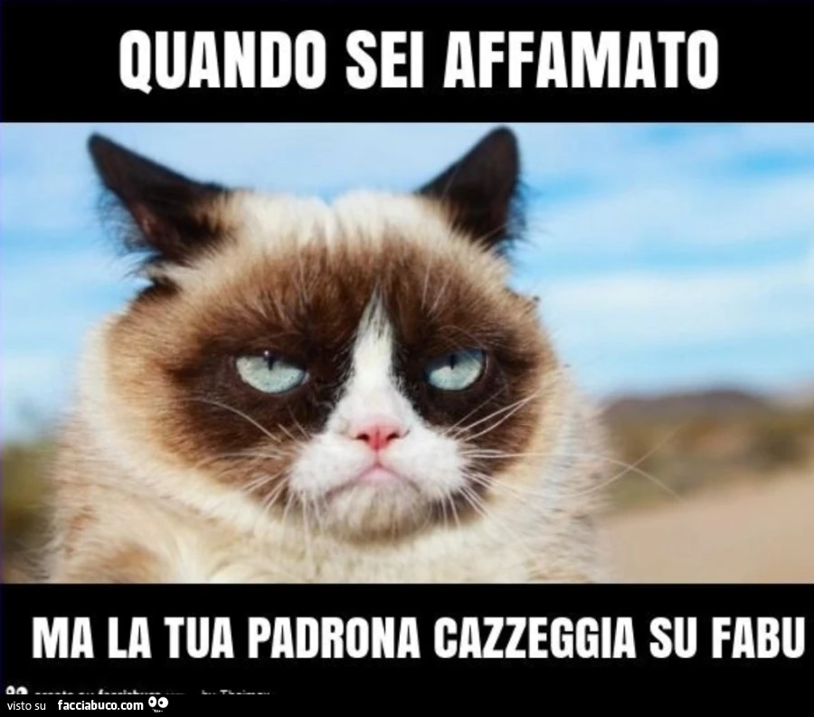 Donne social