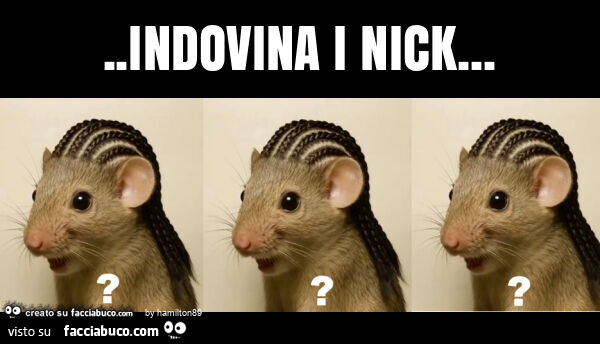 Indovina i nick