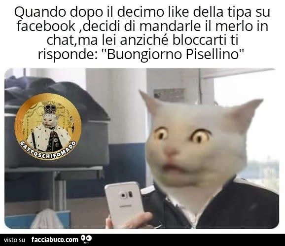Vaccata