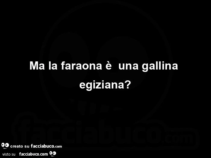 Ma la faraona è  una gallina egiziana?