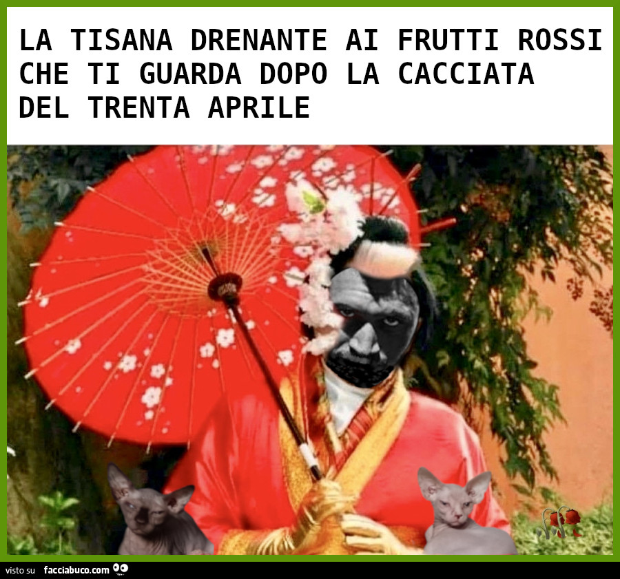 Vaccata