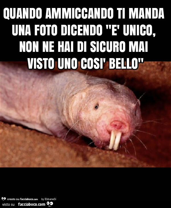 Quando ammiccando ti manda una foto dicendo "è unico, non ne hai di sicuro mai visto uno così bello"