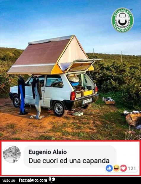 Vaccata