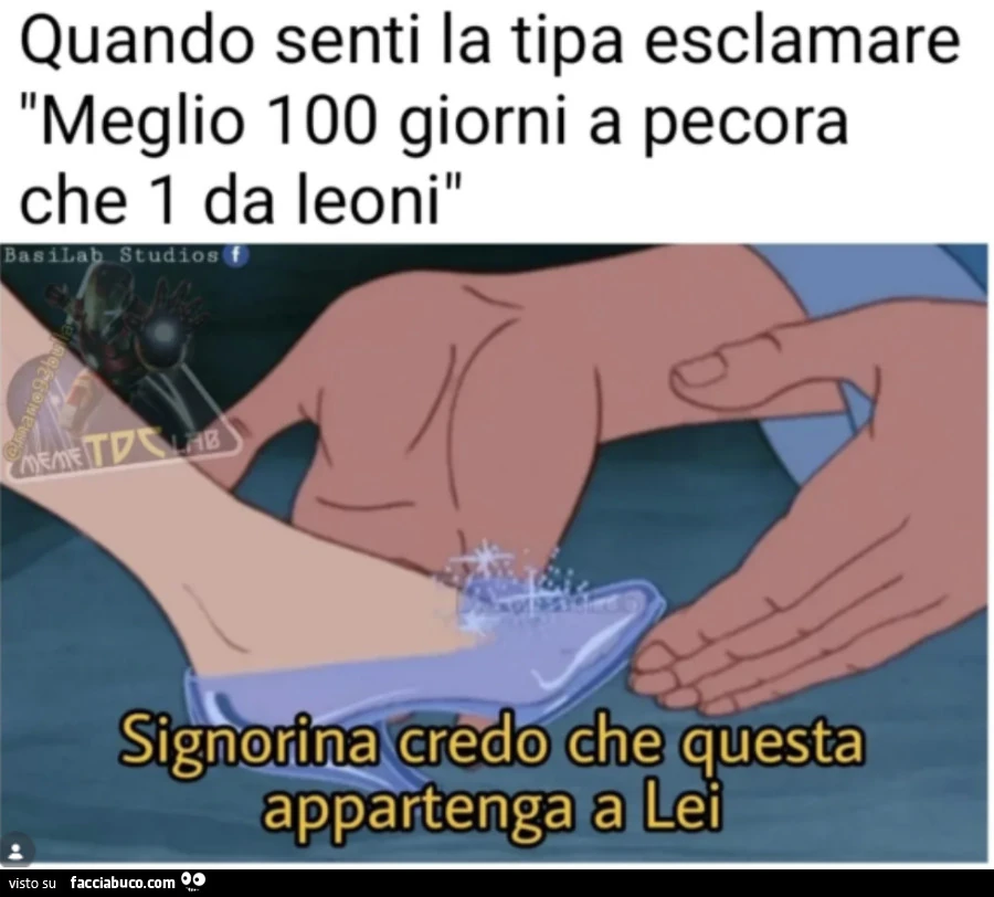 Vaccata