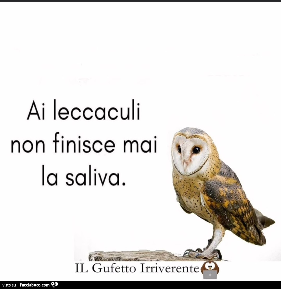 Ai leccaculi non finisce mai la saliva