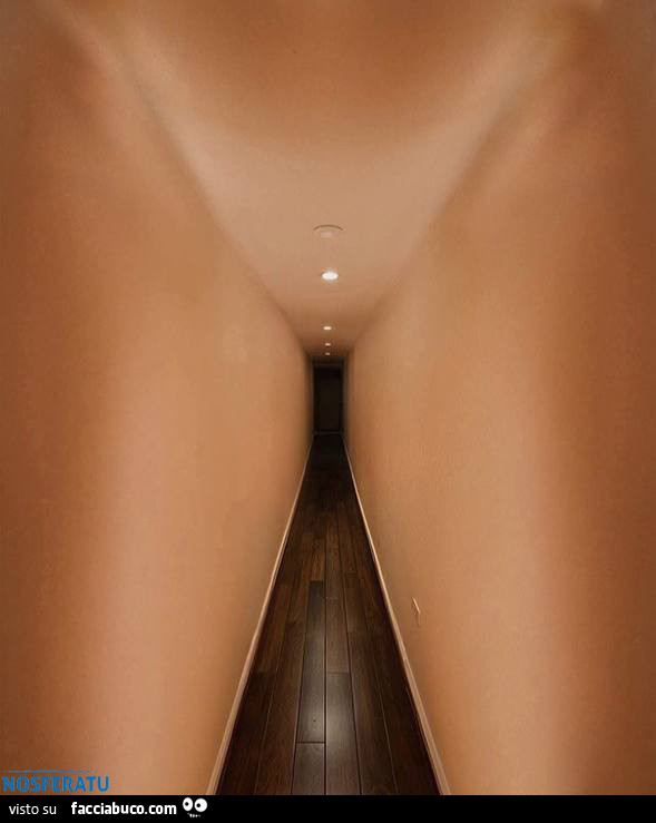 Il tunnel oltre la vita