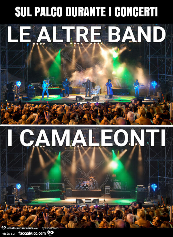 Sul palco durante i concerti