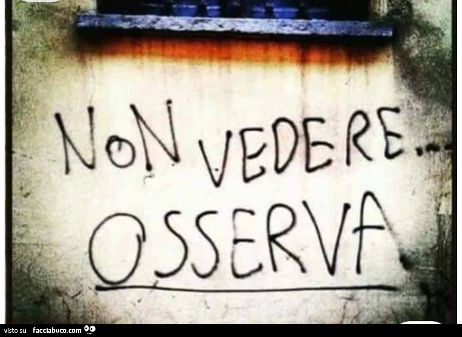 Vista