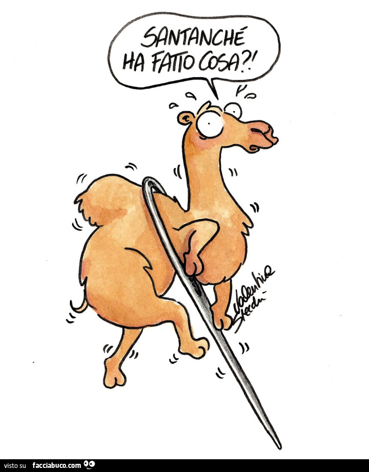 Santanchè ha fatto cosa?