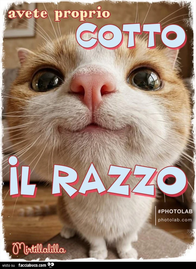 Avete cotto