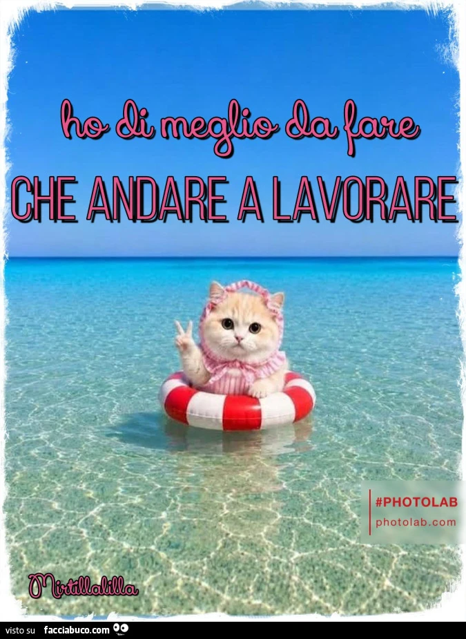 Ho di meglio da fare