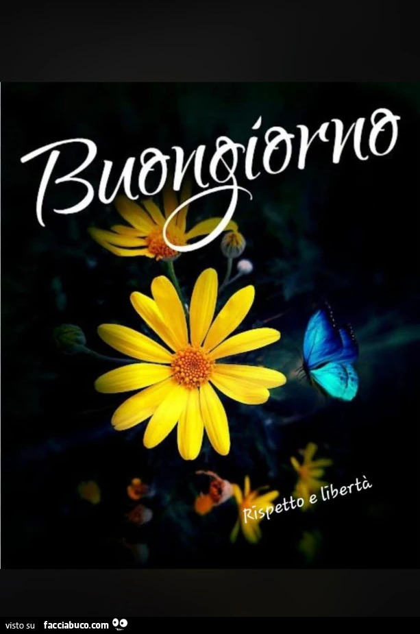 Buongiorno