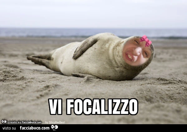 Vi focalizzo
