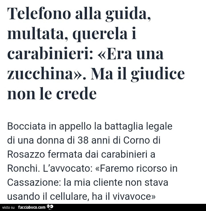 Telefono alla guida, multata, querela i carabinieri: era una zucchina. Ma il giudice non le crede bocciata in appello la battaglia legale di una donna di 38 anni