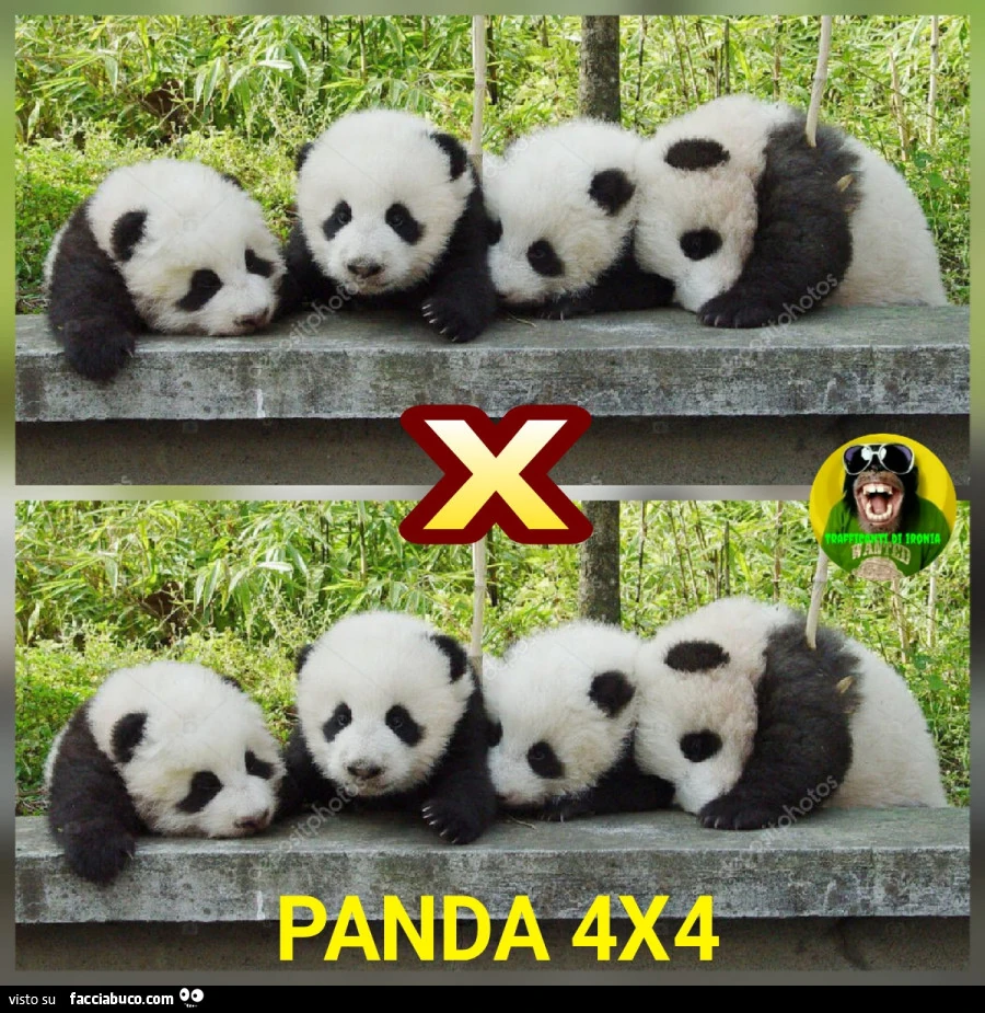 Panda 4x4