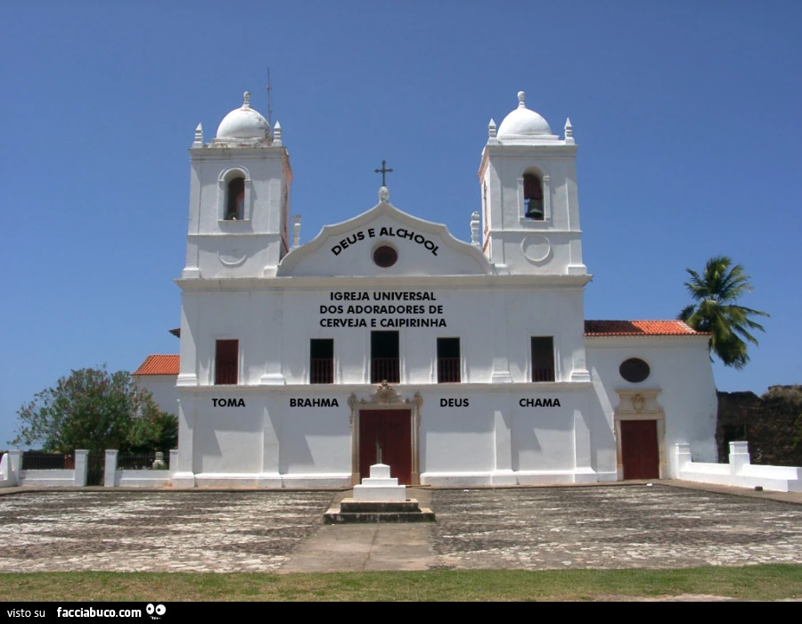 Vaccata