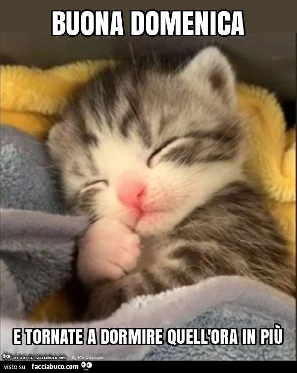Buona domenica e tornate a dormire quell'ora in più