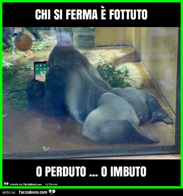 Chi si ferma è fottuto o perduto&hellip; o imbuto