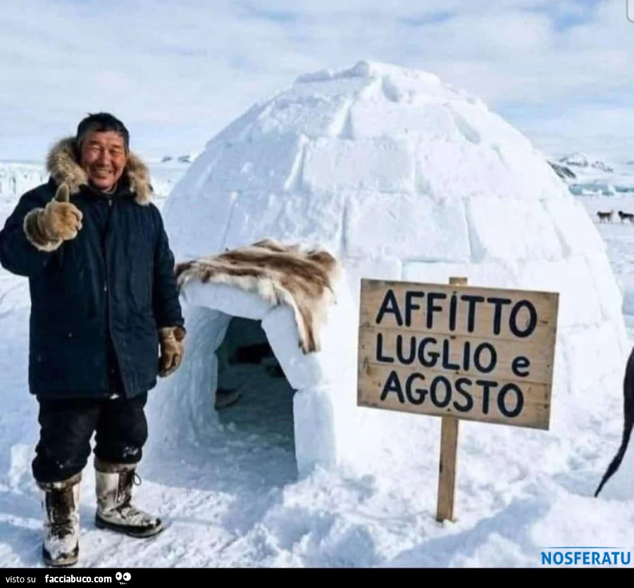 Affitto Igloo Luglio e Agosto