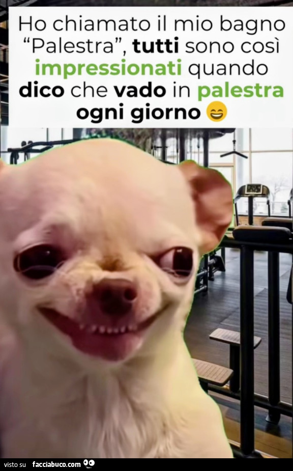 Palestra