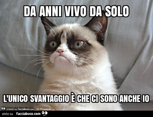 Da anni vivo da solo l'unico svantaggio è che ci sono anche io