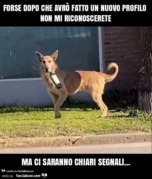 Forse dopo che avrò fatto un nuovo profilo non mi riconoscerete ma ci saranno chiari segnali