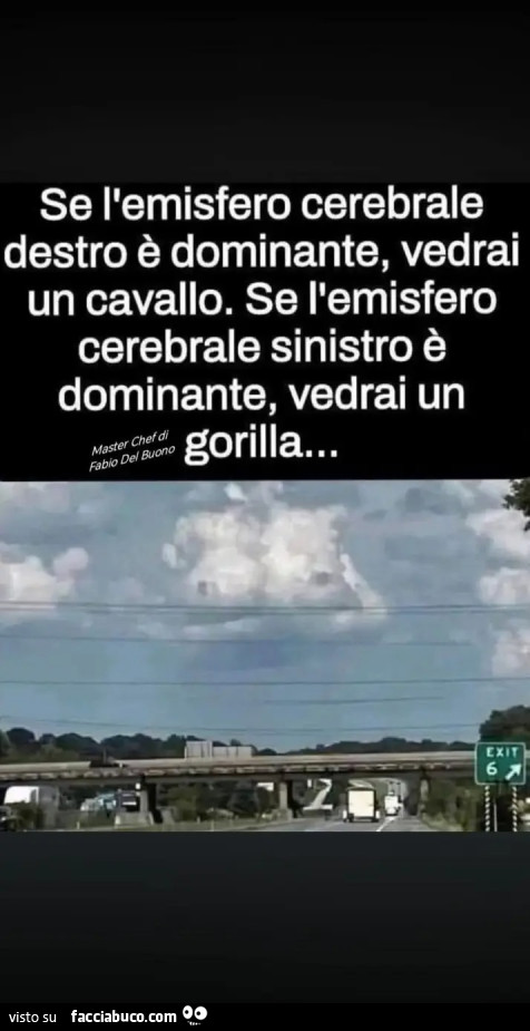 Emisfero celebrale