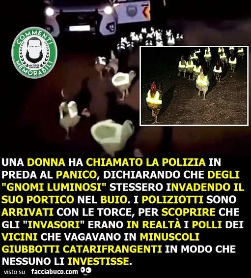 Vaccata