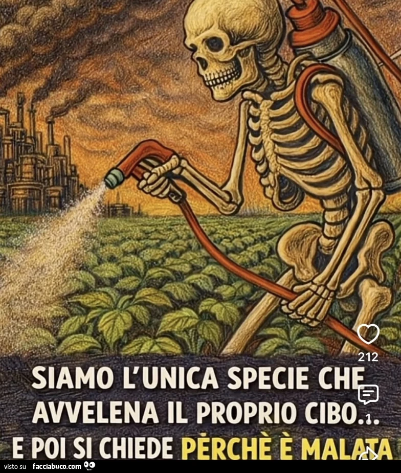 Vaccata
