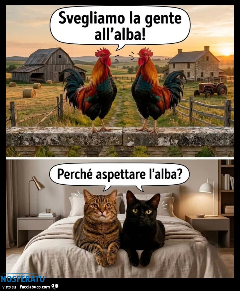 Il gatto rompicoglioni