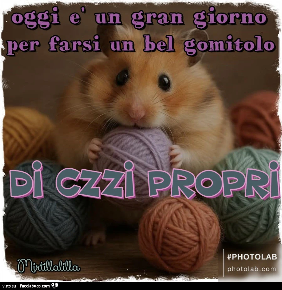 Un gomitolo di czzi propri