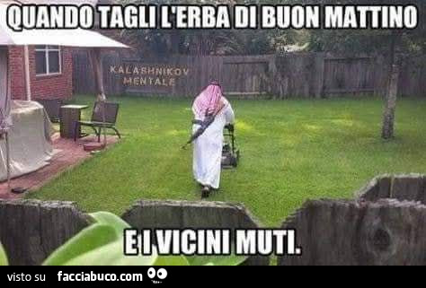 Vaccata