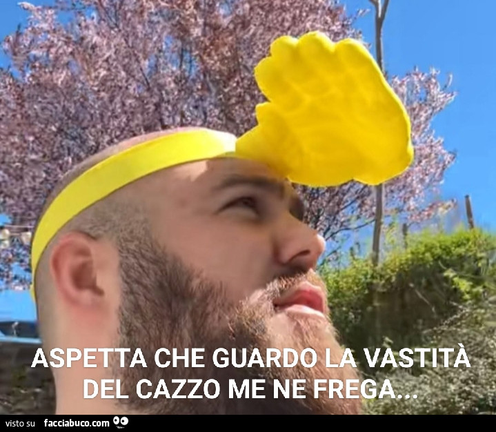 Vaccata