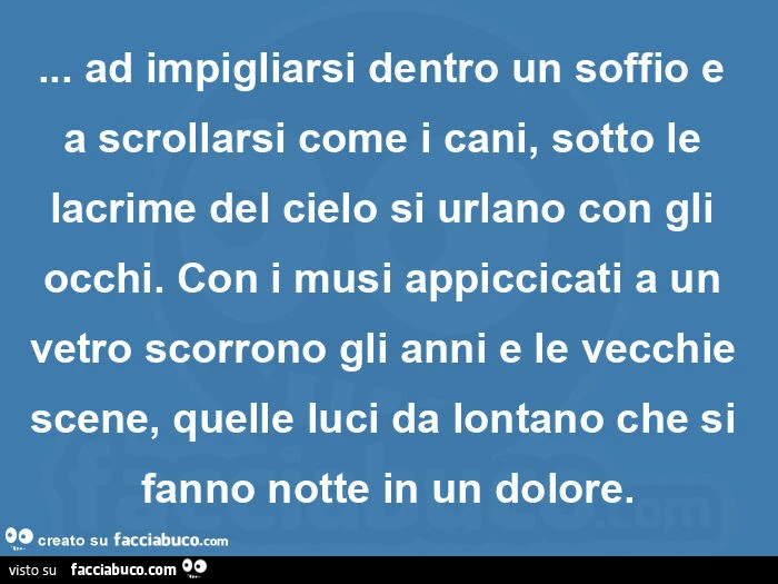 Ad impigliarsi dentro un soffio e a scrollarsi come i cani, sotto le lacrime del cielo si urlano con gli occhi. Con i musi appiccicati a un vetro scorrono gli anni e le vecchie scene, quelle luci da lontano che si fanno notte in un dolore
