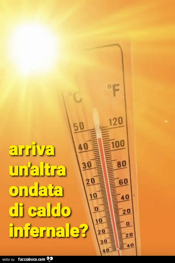 Caldo