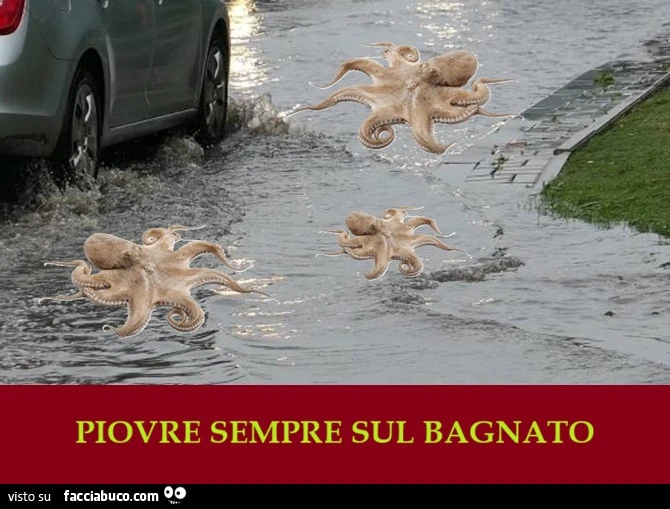 Piovre sempre sul bagnato