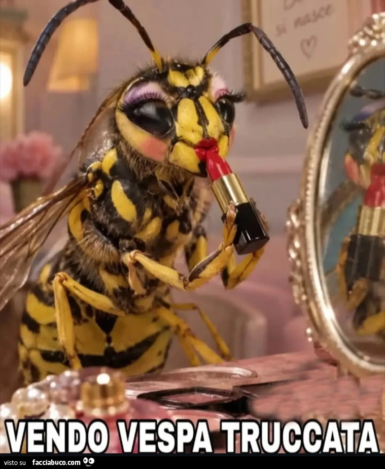 Vaccata