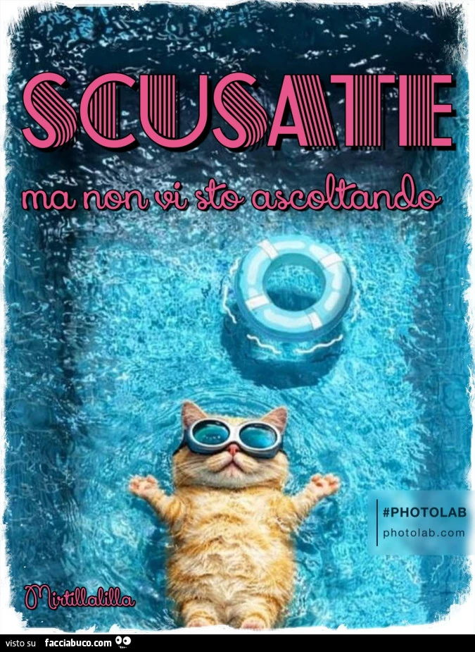 Scusate