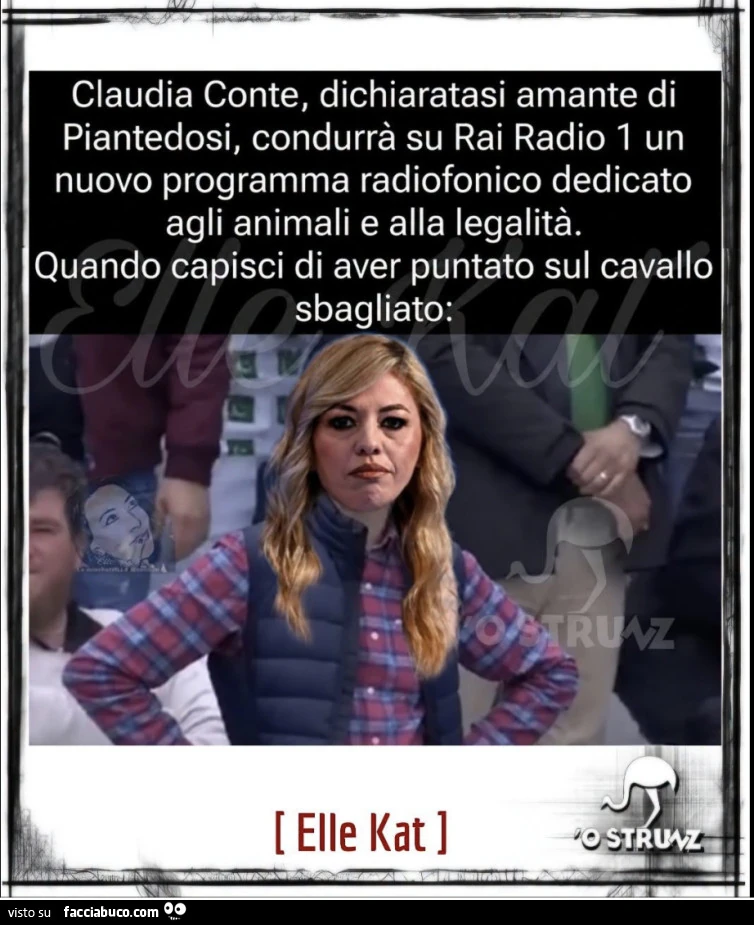 Vaccata
