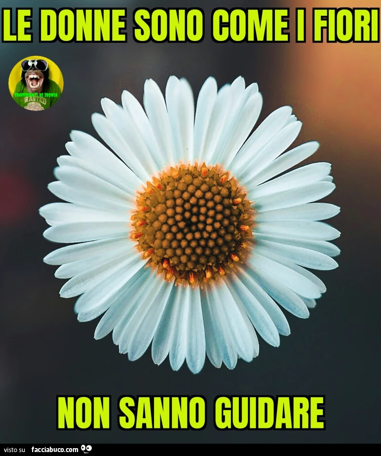 Le donne sono come i fiori non sanno guidare