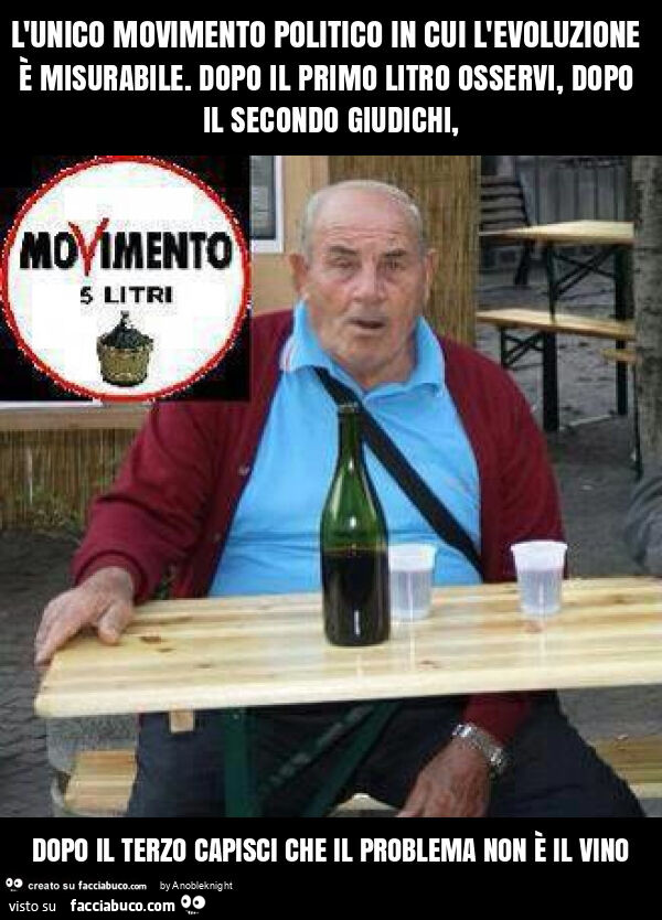L'unico movimento politico in cui l'evoluzione è misurabile. Dopo il primo litro osservi, dopo il secondo giudichi, dopo il terzo capisci che il problema non è il vino