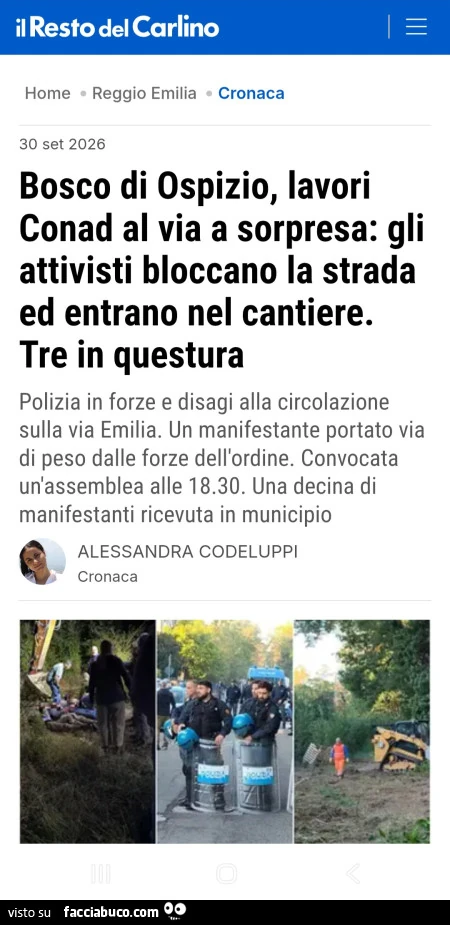 Vaccata