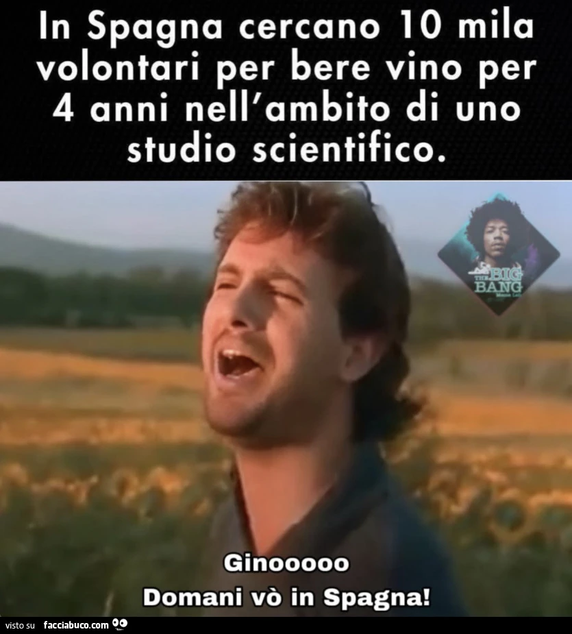 Vaccata