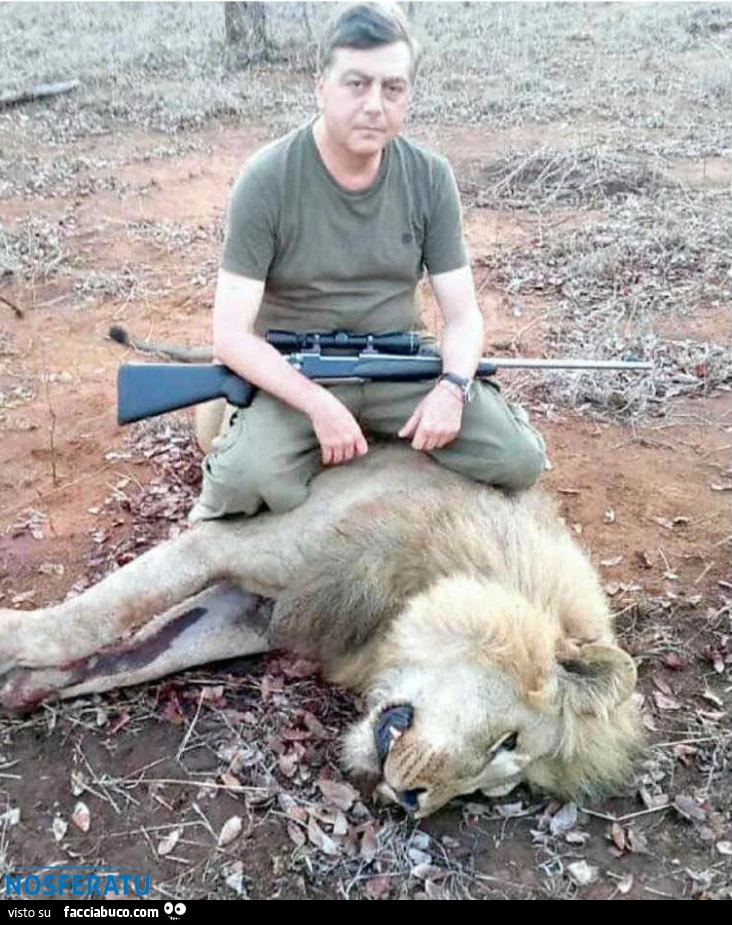 Una merda che uccide dei poveri animali