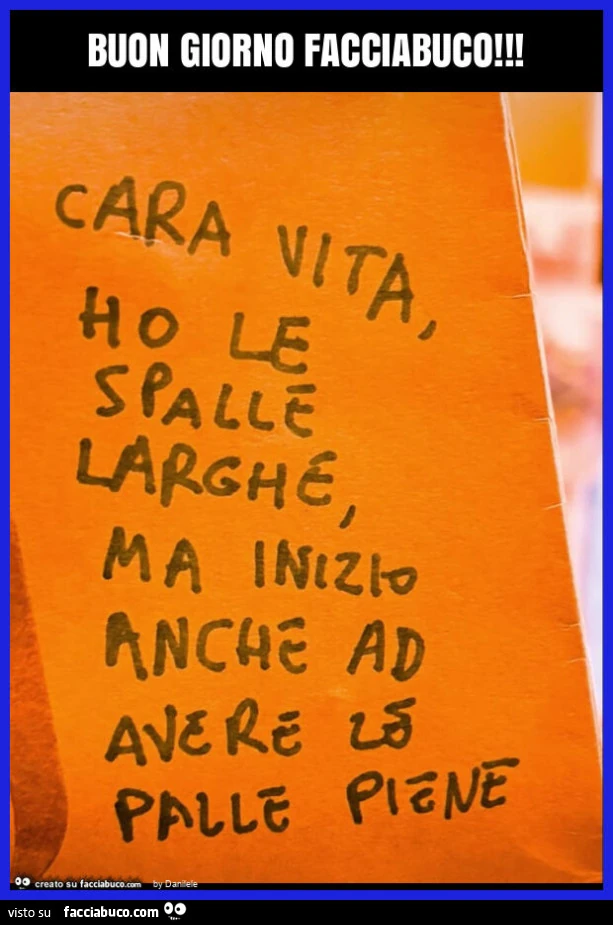 Buon giorno facciabuco. Cara vita ho le spalle larghe ma inizio ad avere le palle piene