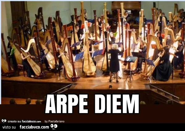 Arpe diem