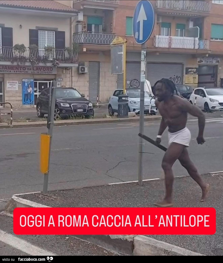 Vaccata
